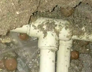 萨嘎测漏水多少钱